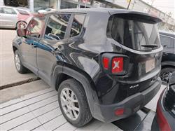 جيب رينيجيد